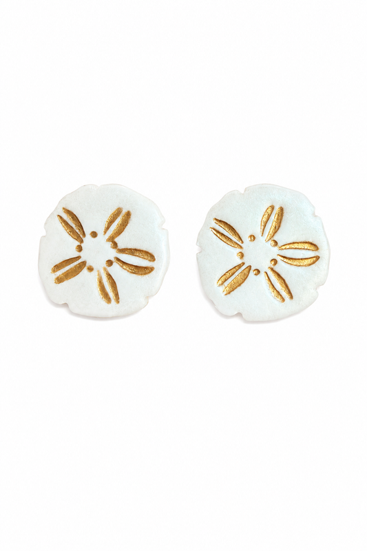 Sunlit Sand Dollar