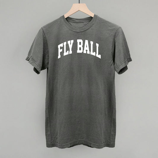 Fly Ball Arch